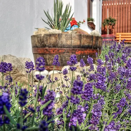 Séjour à la campagne Levandulova *